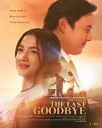 Watch The Last Goodbye Gomovies123