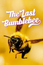 Watch The Last Bumblebee Gomovies123