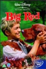Watch Big Red Gomovies123