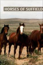 Watch Horses of Suffield Gomovies123