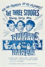 Watch Rumpus in the Harem Gomovies123