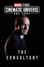 Watch Marvel One-Shot: The Consultant Gomovies123
