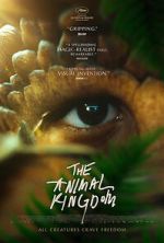 Watch The Animal Kingdom Gomovies123