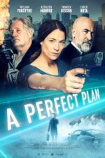 Watch A Perfect Plan Gomovies123