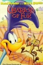 Watch Ready Woolen and Able Gomovies123