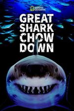 Watch Great Shark Chow Down Gomovies123