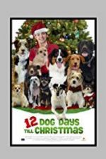 Watch 12 Dog Days Till Christmas Gomovies123