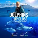 Watch Dolphins Up Close with Bertie Gregory (TV Special 2025) Gomovies123