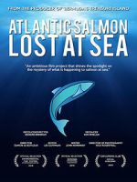 Watch Atlantic Salmon: Lost at Sea Gomovies123