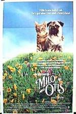 Watch Milo & Otis Gomovies123