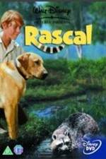 Watch Rascal Gomovies123