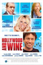 Watch Hollywood & Wine Gomovies123