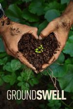 Watch Groundswell Gomovies123