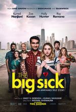 Watch The Big Sick Gomovies123