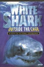 Watch National Geographic white shark:outside the cage Gomovies123