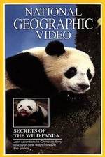 Watch Secrets of the Wild Panda Gomovies123