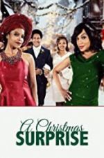 Watch A Christmas Surprise Gomovies123