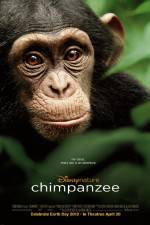 Watch Chimpanzee Gomovies123