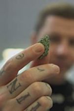 Watch Professor Green: Is It Time to Legalise Weed? Gomovies123