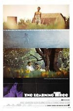 Watch The Learning Tree Gomovies123