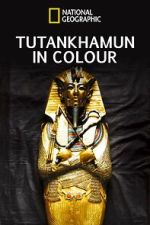 Watch King Tut in Color Gomovies123