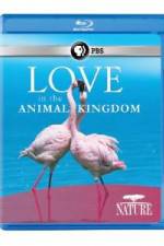 Watch Nature: Love in the Animal Kingdom Gomovies123