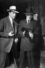 Watch No Orchids for Miss Blandish Gomovies123