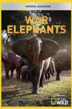 Watch War Elephants Gomovies123