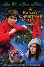 Watch A Karate Christmas Miracle Gomovies123