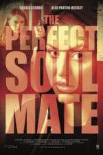 Watch The Perfect Soulmate Gomovies123