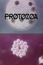 Watch Protozoa Gomovies123