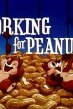 Watch Working For Peanuts Gomovies123