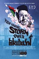 Watch Yusuf Hawkins: Storm Over Brooklyn Gomovies123