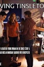 Watch Driving Tinseltown Gomovies123