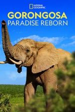 Watch Gorongosa: Paradise Reborn (Short 2022) Gomovies123