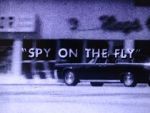 Watch Spy on the Fly (Short 1967) Gomovies123