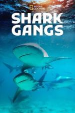 Watch Shark Gangs Gomovies123