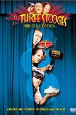 Watch The Ghost Talks Gomovies123