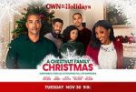 Watch A Chestnut Family Christmas Gomovies123