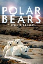 Watch Polar Bears: A Summer Odyssey Gomovies123