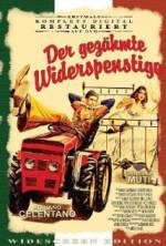 Watch The Taming of the Scoundrel Gomovies123