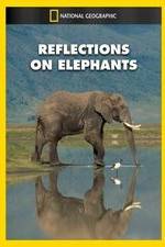 Watch Reflections on Elephants Gomovies123