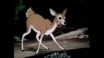 Watch Wacky Wildlife (Short 1940) Gomovies123