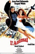 Watch Animal Gomovies123