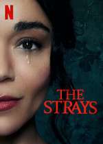 Watch The Strays Gomovies123