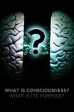 Watch What Is Consciousness? What Is Its Purpose? Gomovies123