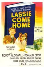 Watch Lassie Come Home Gomovies123