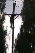 Watch After the Wind Gomovies123