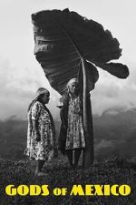 Watch Gods of Mexico Gomovies123