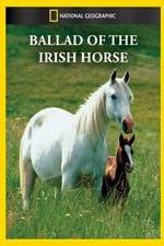 Watch Ballad of the Irish Horse Gomovies123
